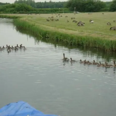 Auszeit Direkt Am Wasser By Interhome