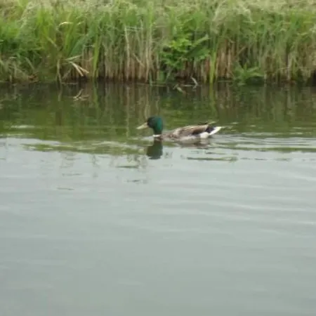 Auszeit Direkt Am Wasser By Interhome Wervershoof