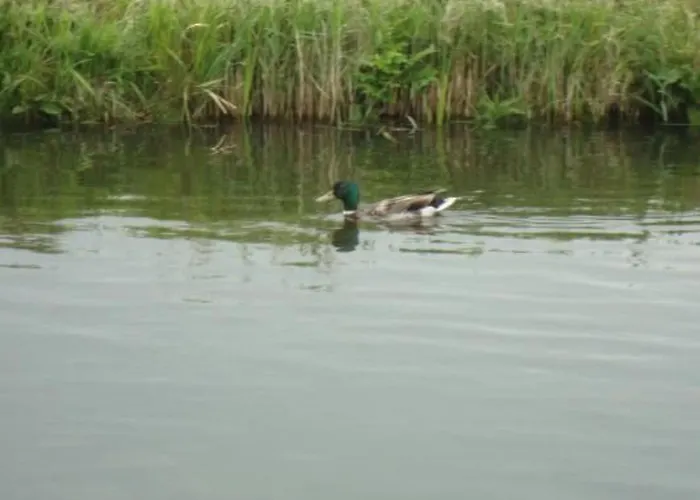 Auszeit Direkt Am Wasser By Interhome Wervershoof