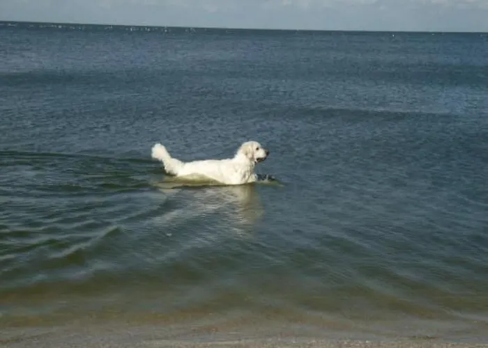 Auszeit Direkt Am Wasser By Interhome Сasa de vacaciones