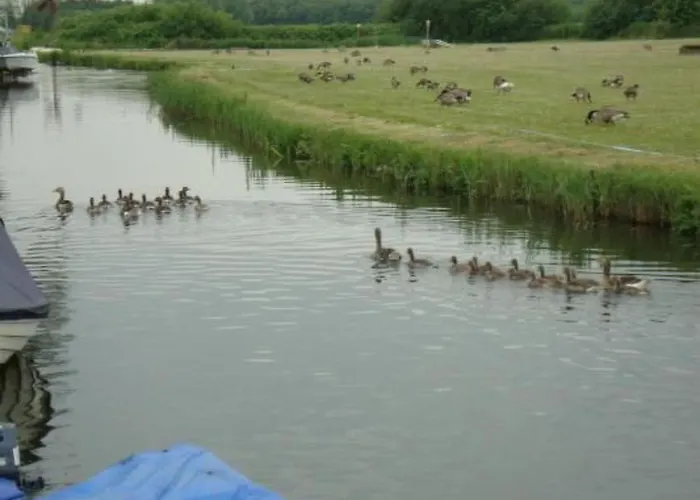 Auszeit Direkt Am Wasser By Interhome